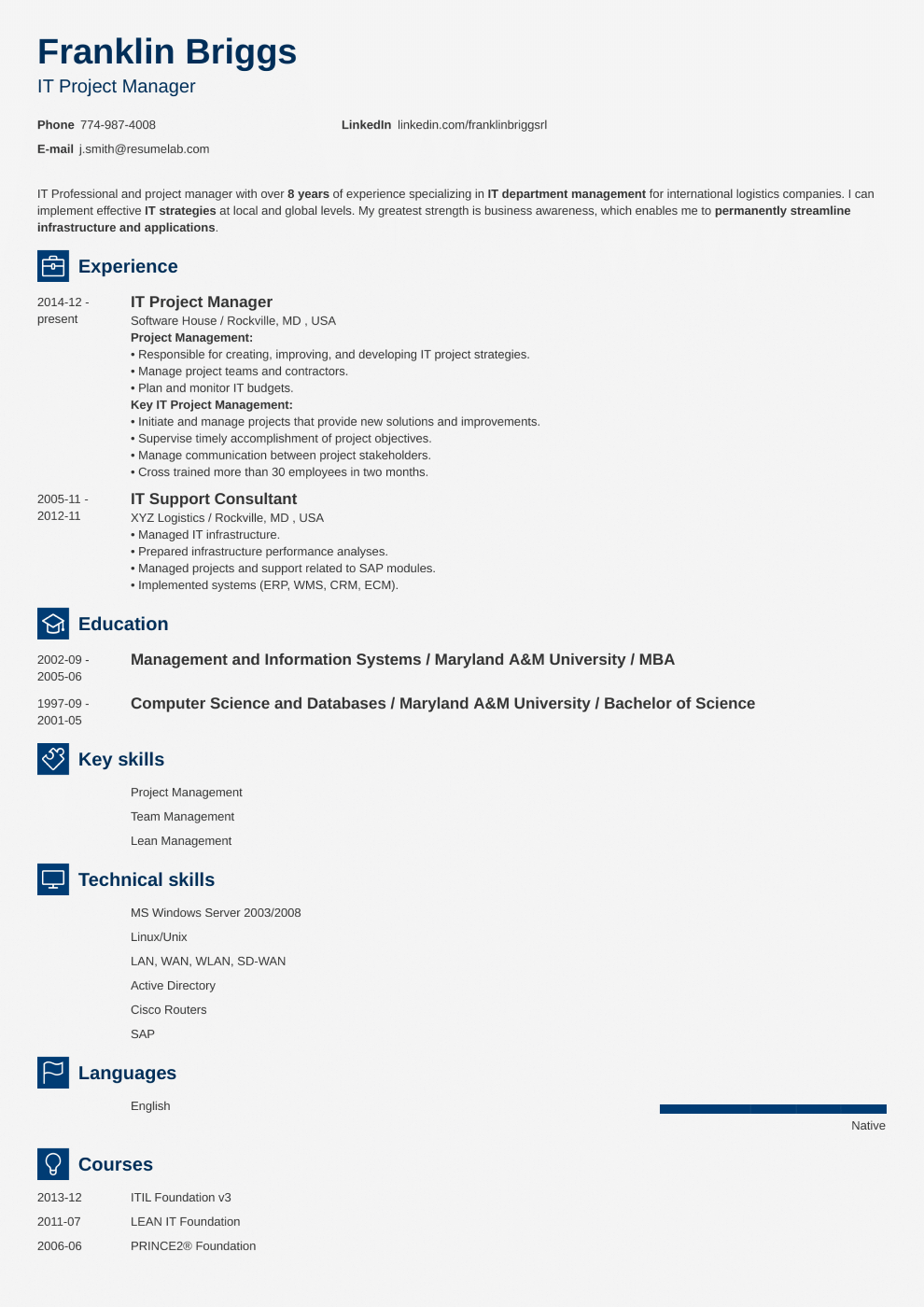 18+ Professional Resume Templates: Fill in the Blanks ...