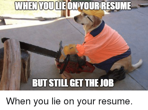 25+ Best Memes About When You Lie on Your Resume