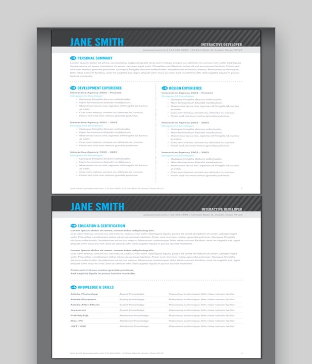 45 Top InDesign Resume Templates (Free + Pro Downloads 2021)