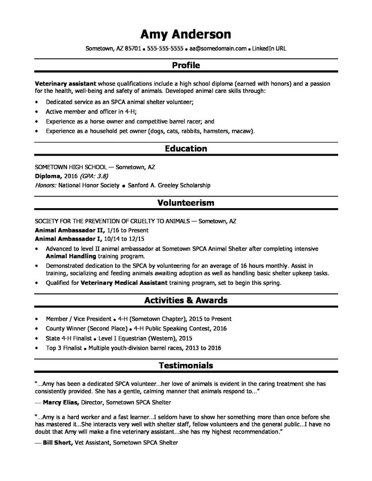 Basic Resume Templates For High School Students