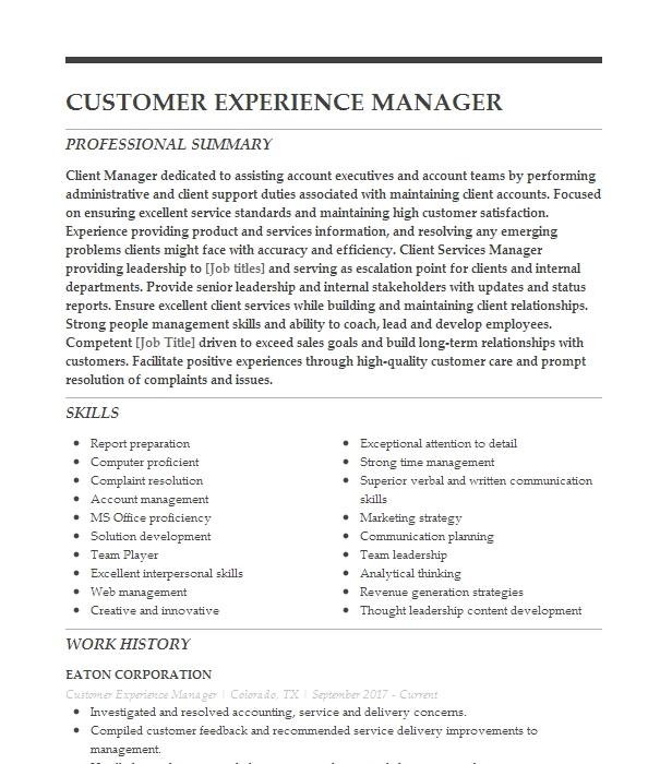 Best Customer Experience Manager Resume Example