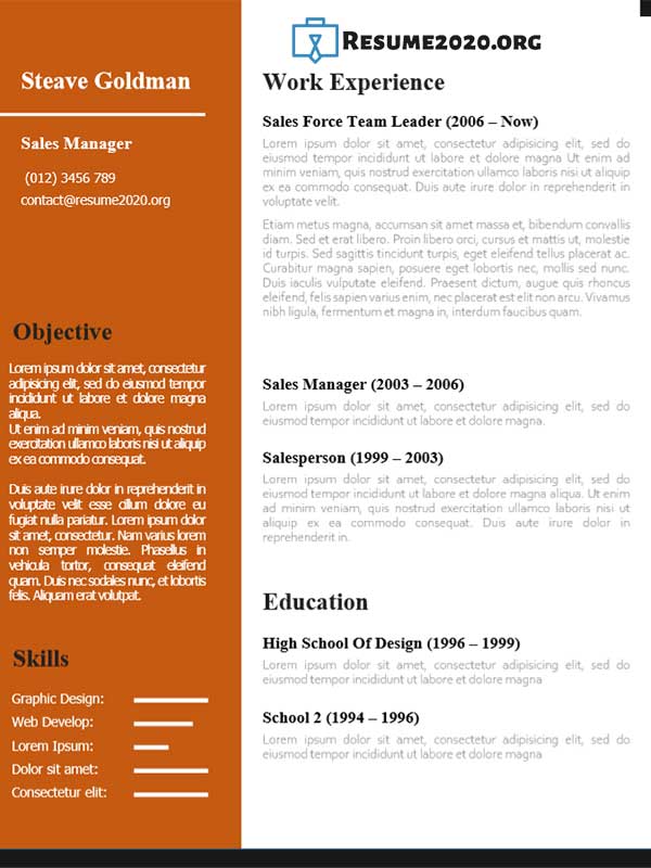 Best Resume Templates 2020  Free 30 Examples in Docx