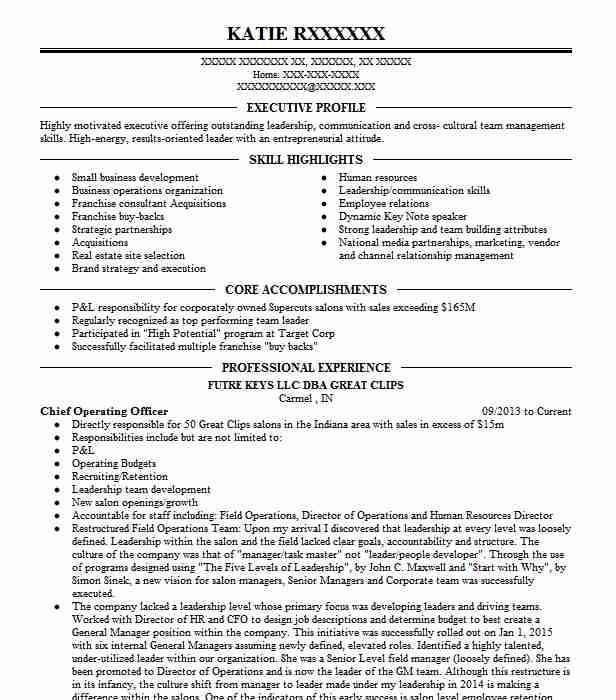 Chief Operating Officer Resume Sample