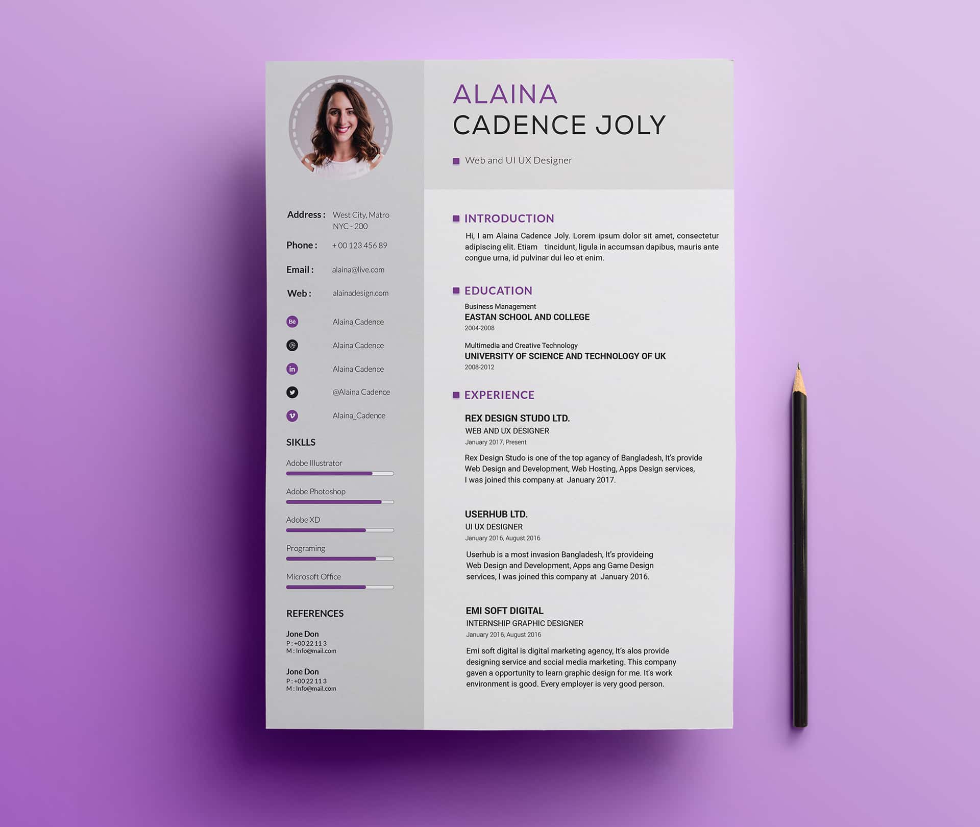 Clean Professional Resume Template Free