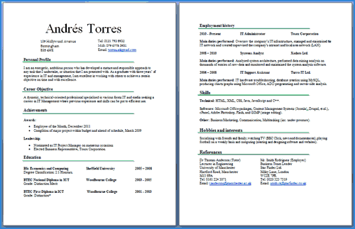 CV two pages example
