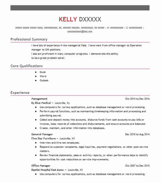 Example Of Qualifications Summary For Resume