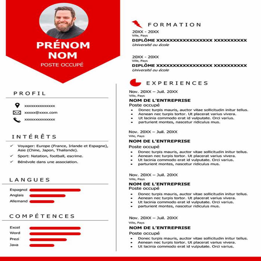 Free Perfect Resume Example
