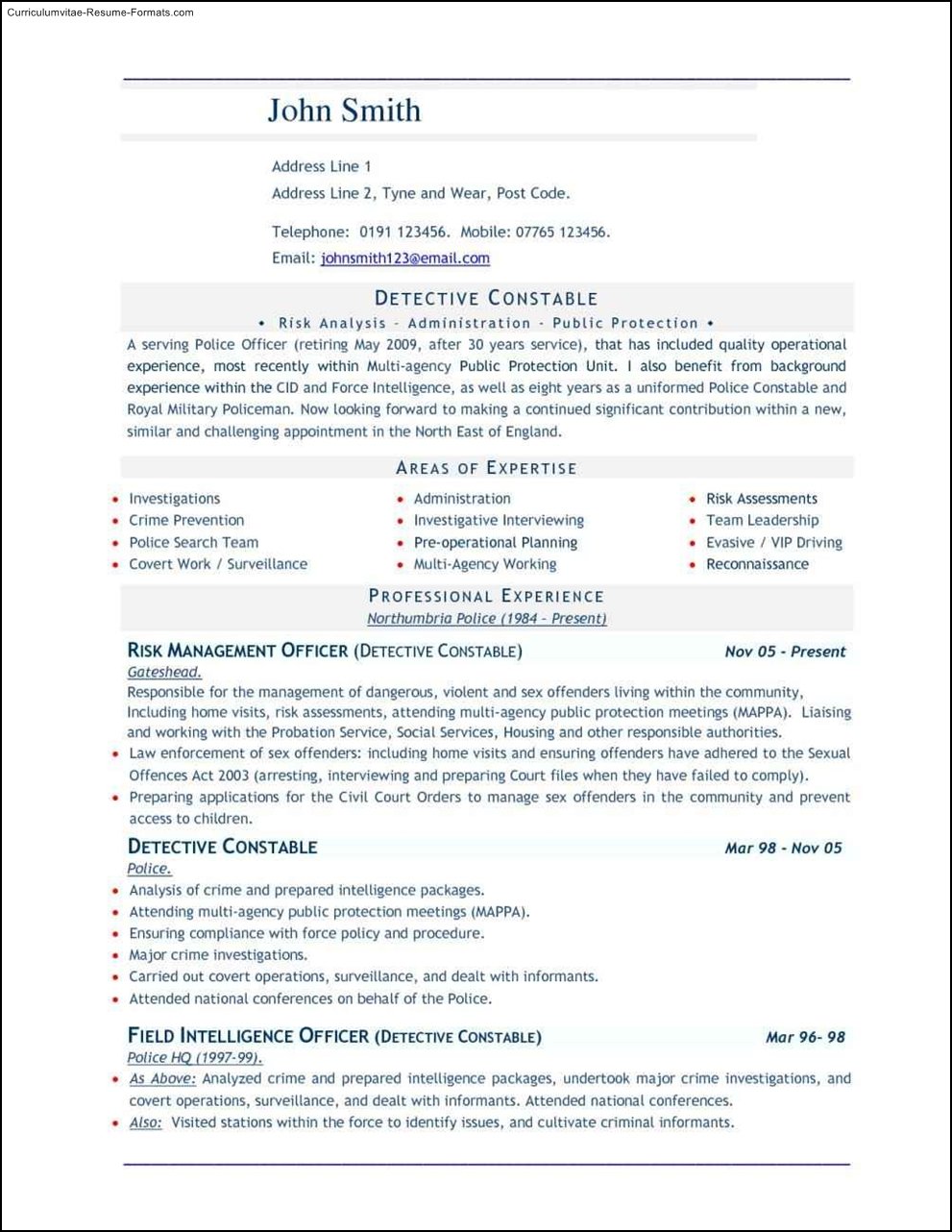 Good Resume Templates For Word
