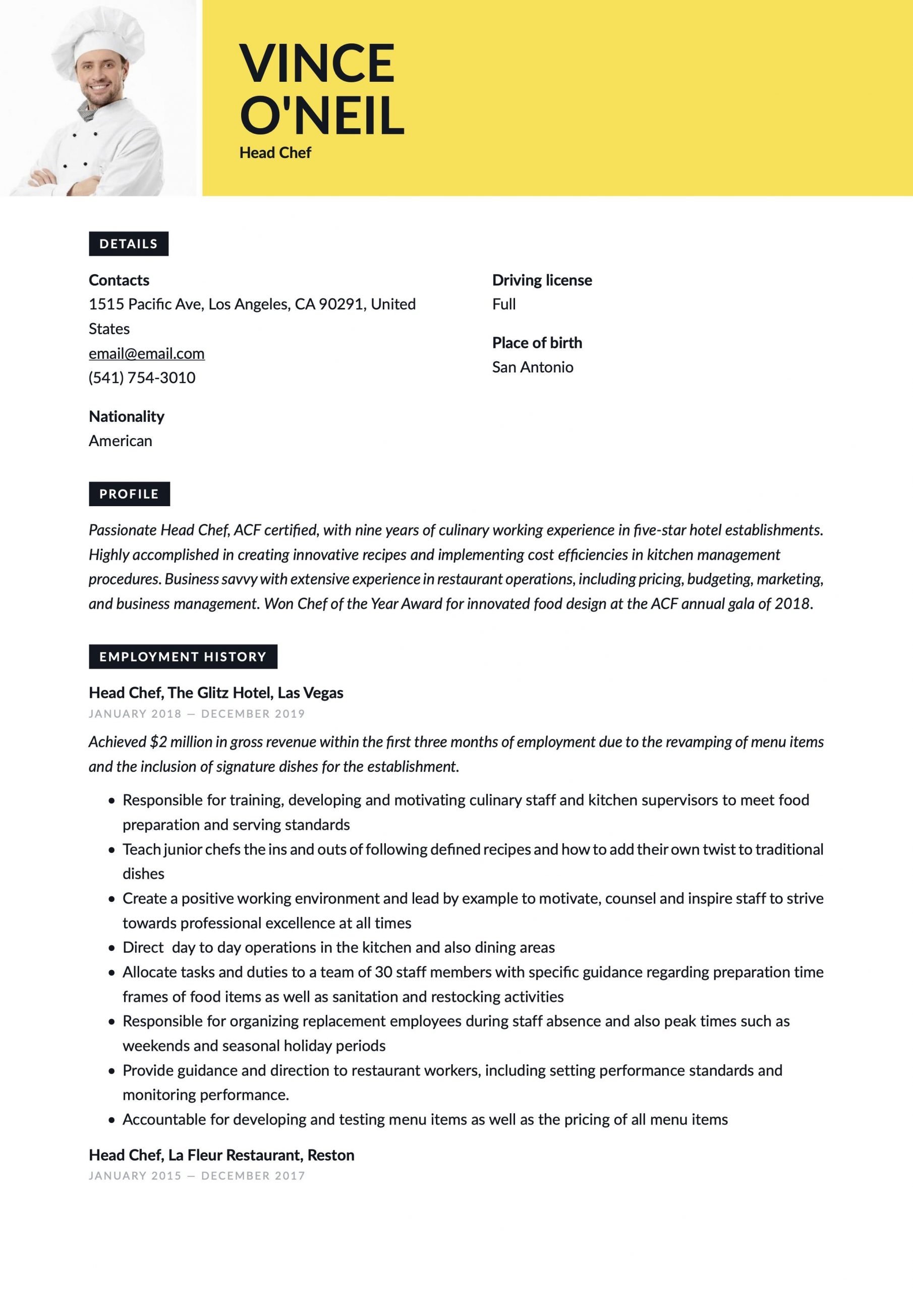 Head Chef Resume Template in 2020
