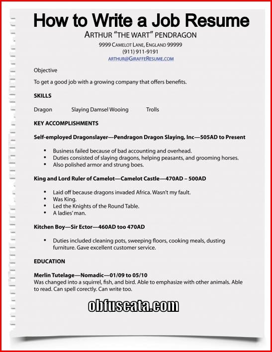 How To Write A Job Resume Examples
