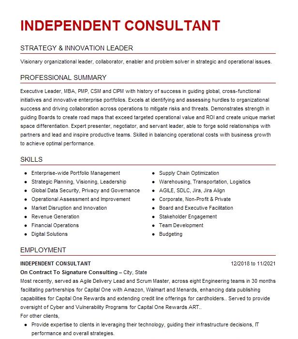 Independent Business Consultant Resume Example