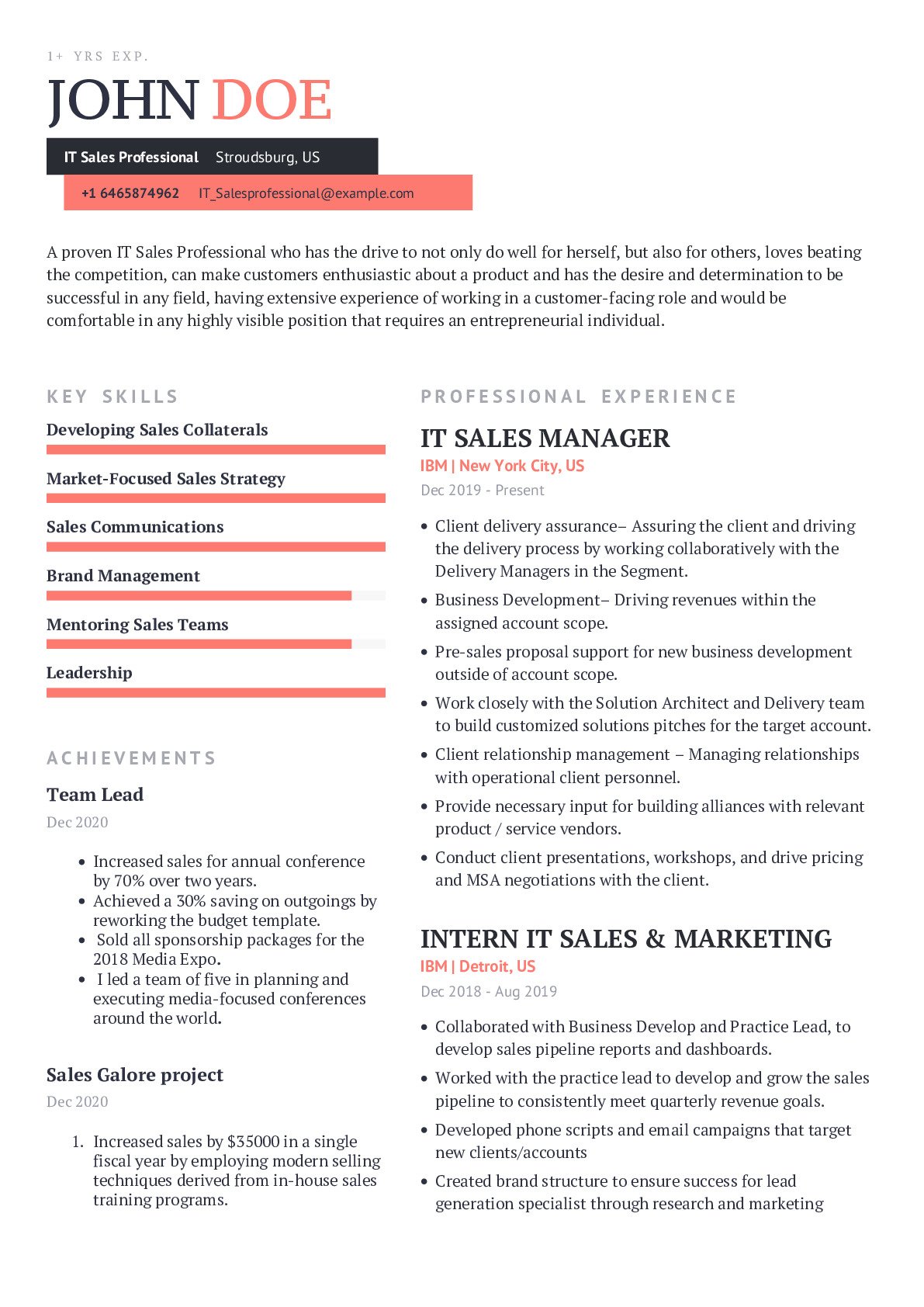 IT Sales Professional Resume Example With Content Sample