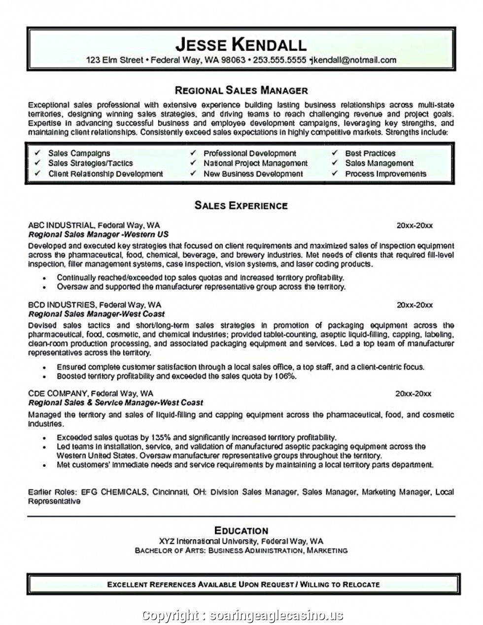 Make Pharma Area Manager Resume The Sales Manager Resume ...