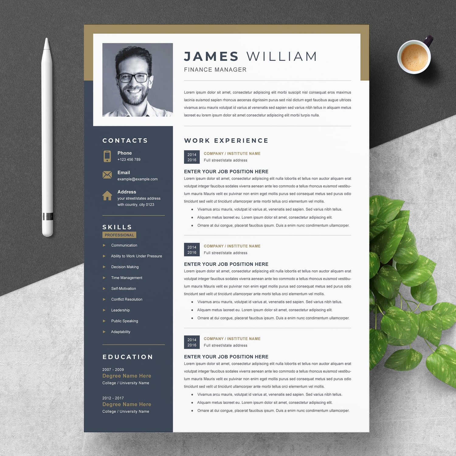 Model Cv 2021 / Best Resume Formats For 2021 3 Professional Examples ...