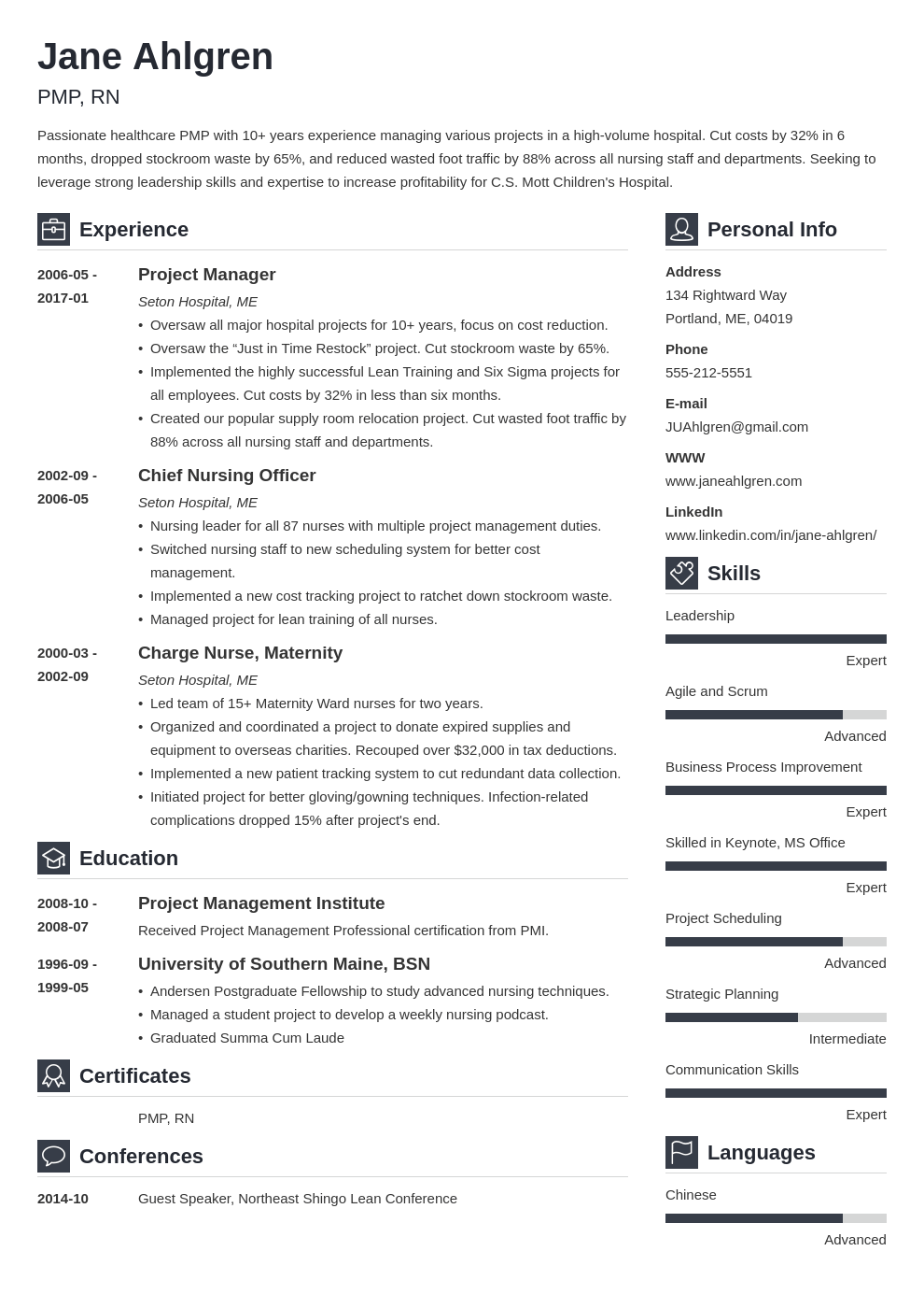 plain text resume example template vibes