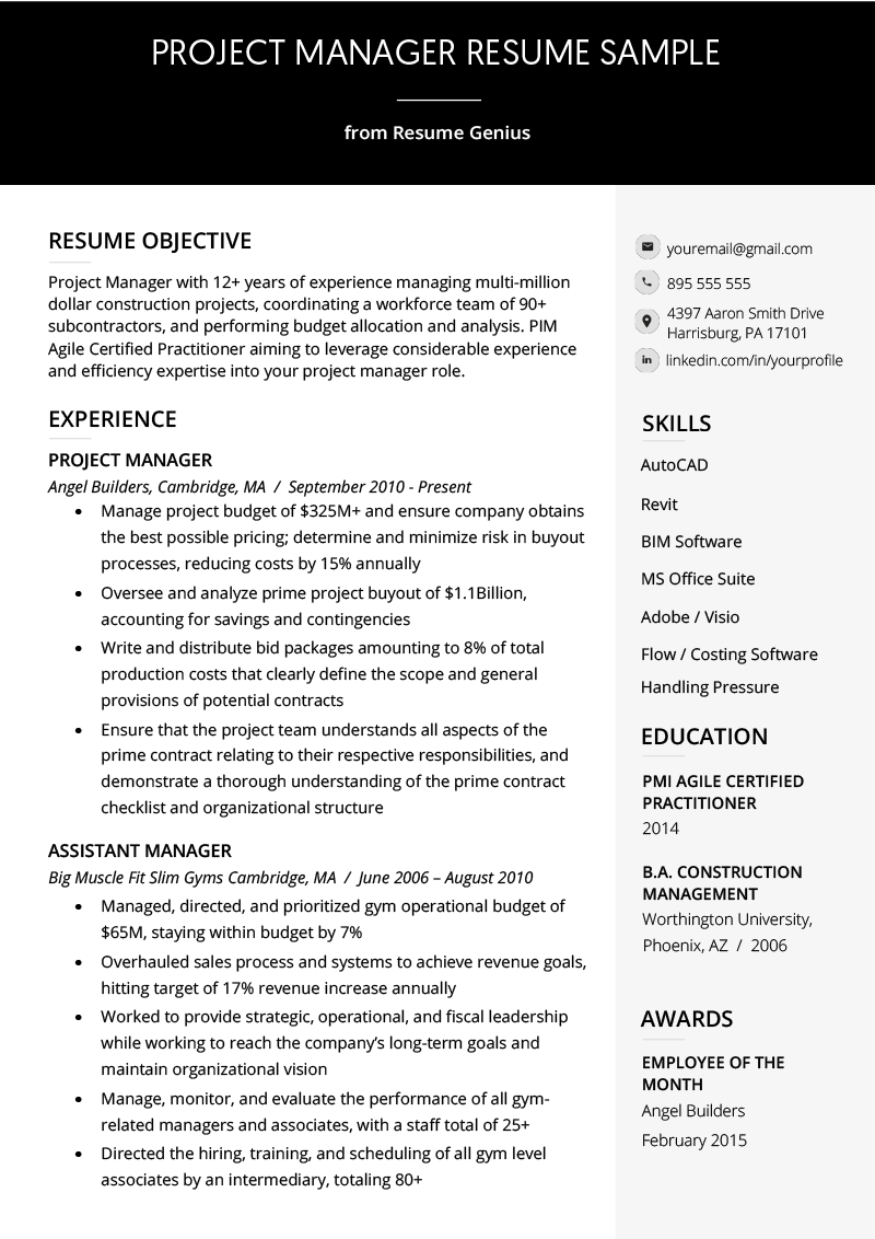 Project Manager Resume Sample &  Writing Guide