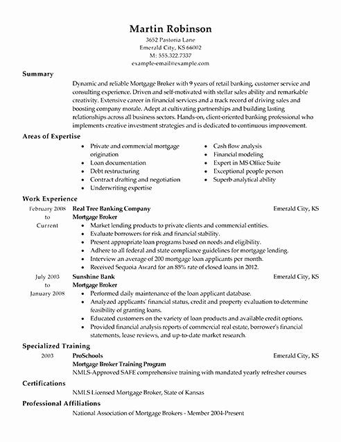 Real Estate Agent Resume No Experienceâ¢
