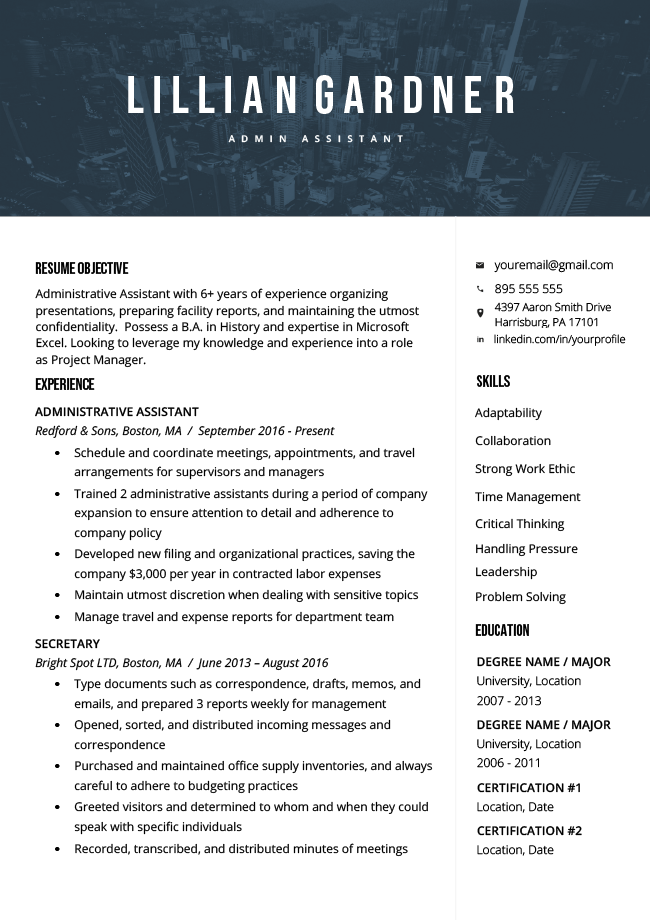 Resume Objective Examples &  Writing Guide