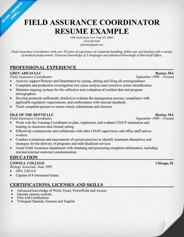 Resume Samples and How to Write a Resume