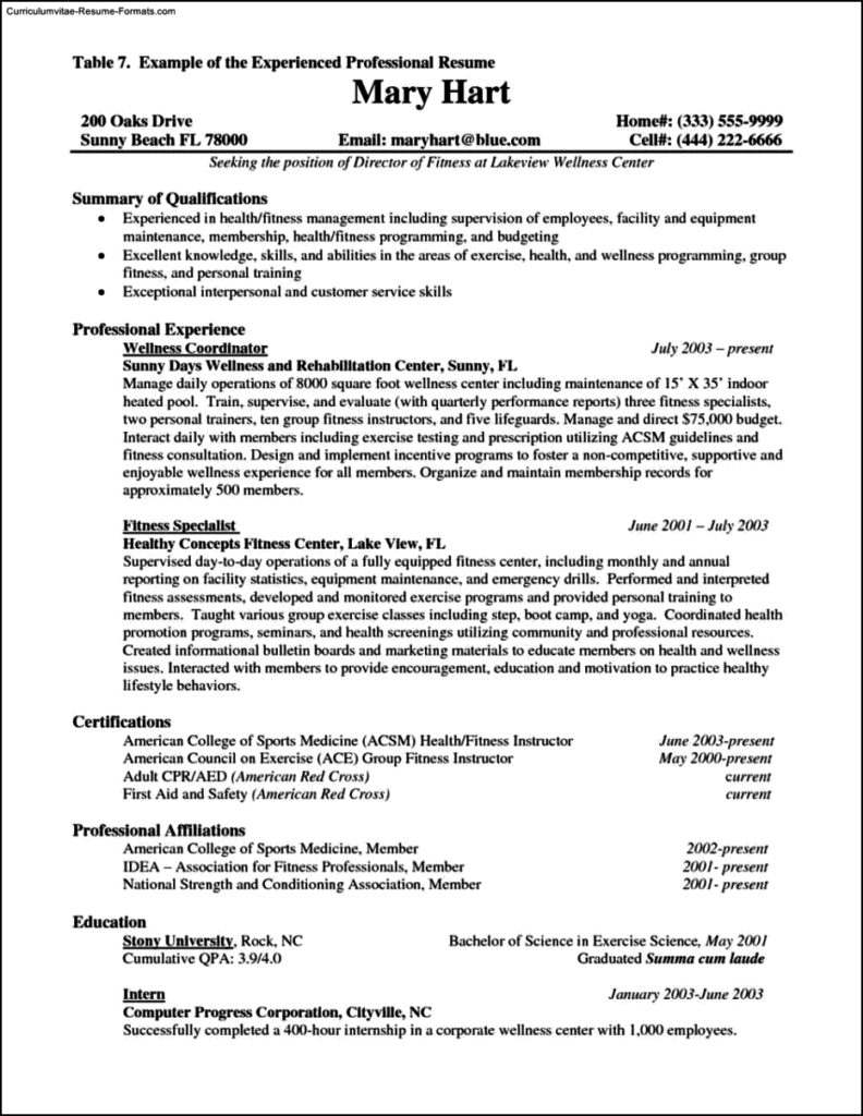 Resume Template For Experienced Professional