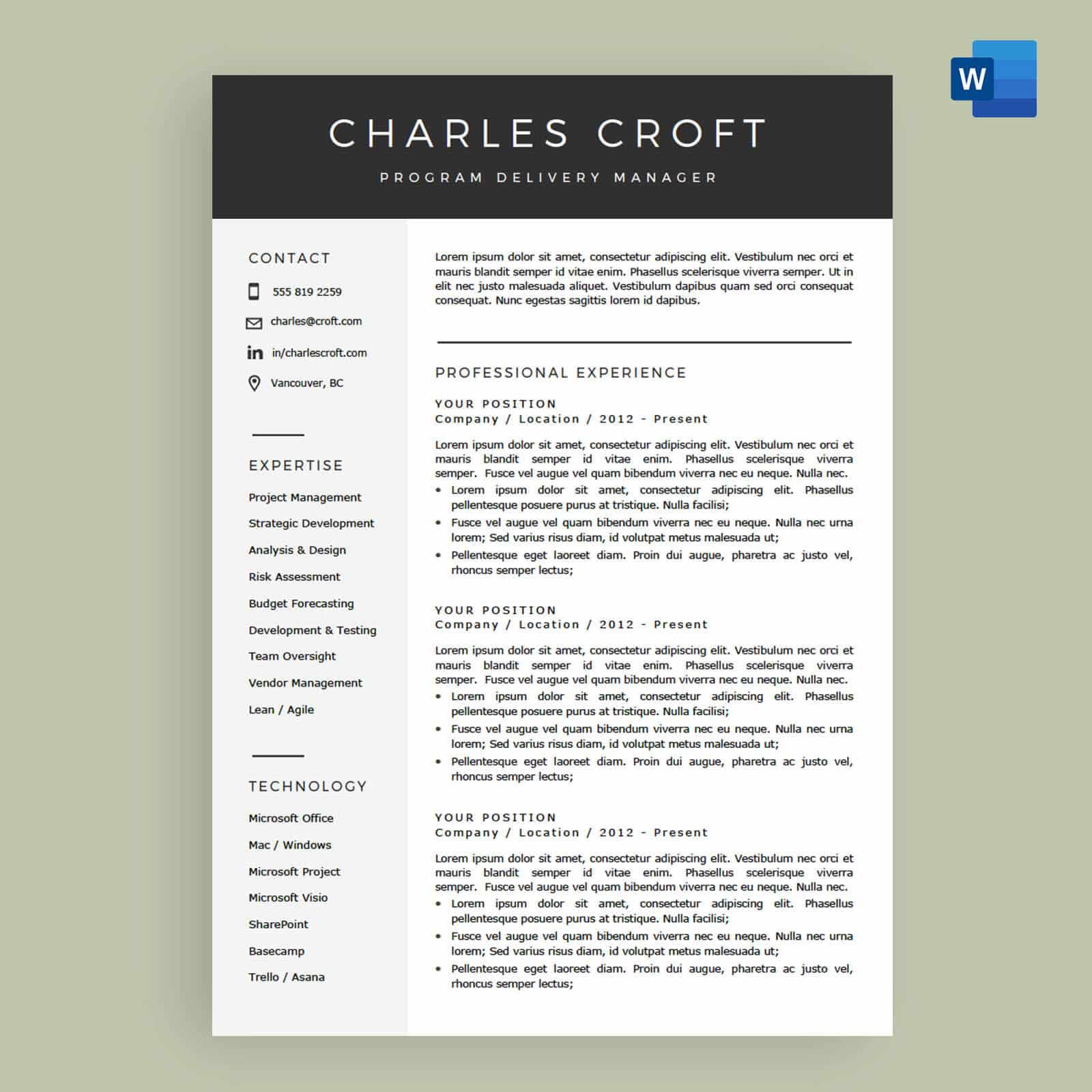 Resume Template Microsoft Word Copy And Paste  Invitation Template Ideas