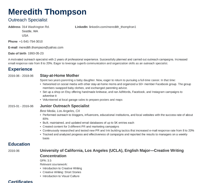 Sample Resume With Career Break / How To Write Your Resume ...