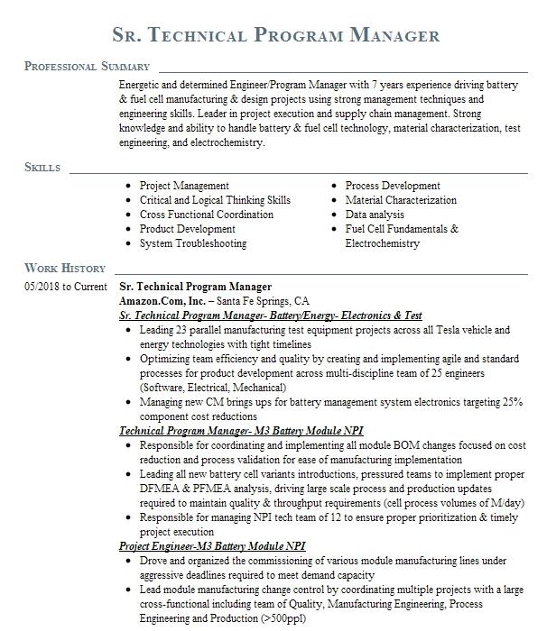 Sr. Technical Program Manager Resume Example Company Name