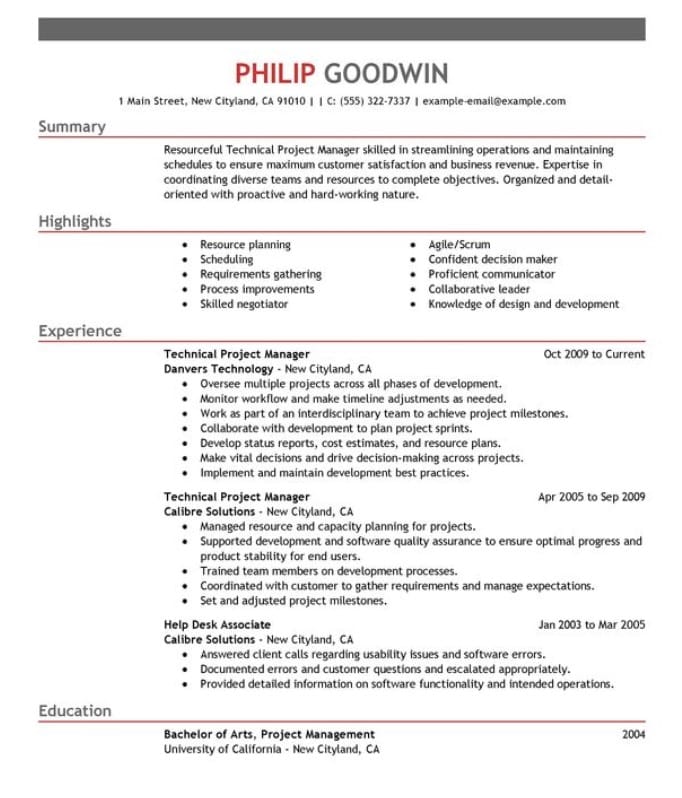 Technical Project Manager Resume Sample