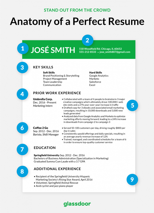 This is what the perfect CV looks like