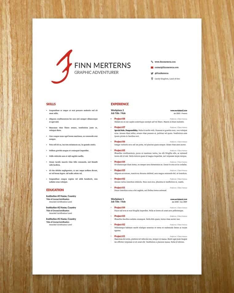 TOP 20 Best Artist Resume Templates 2020 Review