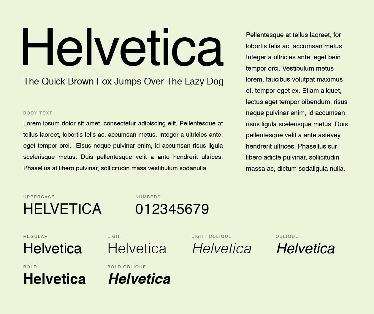 What Fonts Should You Use For Your Resume ?