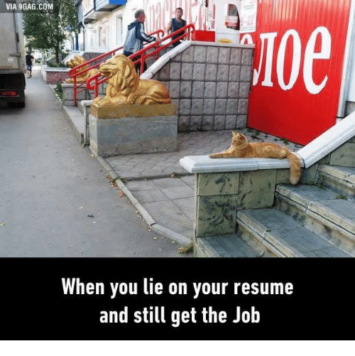 When You Lie on Your Resume and Still Get the Job