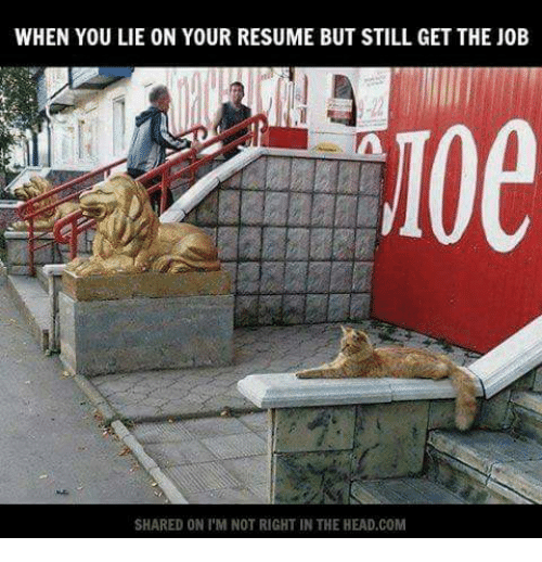 WHEN YOU LIE ON YOUR RESUME BUT STILL GET THE JOB SHARED ...