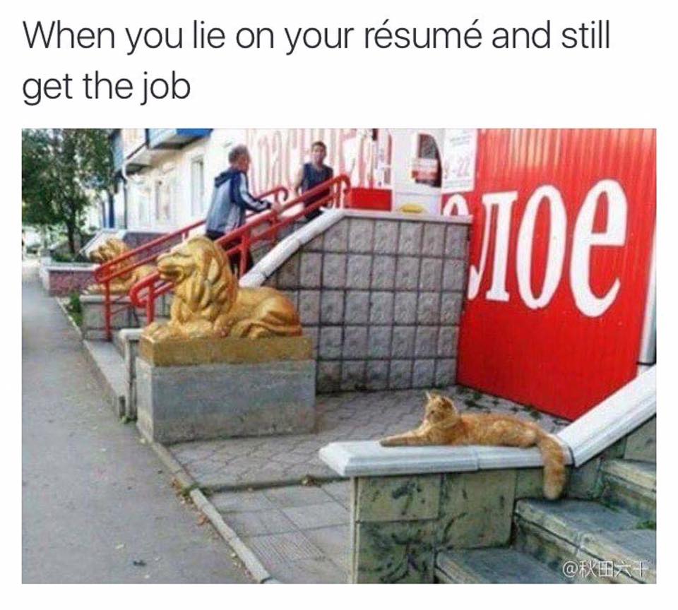 When You Lie On Your Resume but Still Get The Job